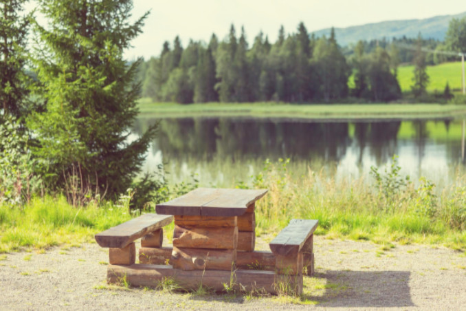 lake and picnic table: MaxAutoPro Auto Advice Blog