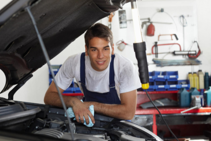 choosing a dealership or local mechanic